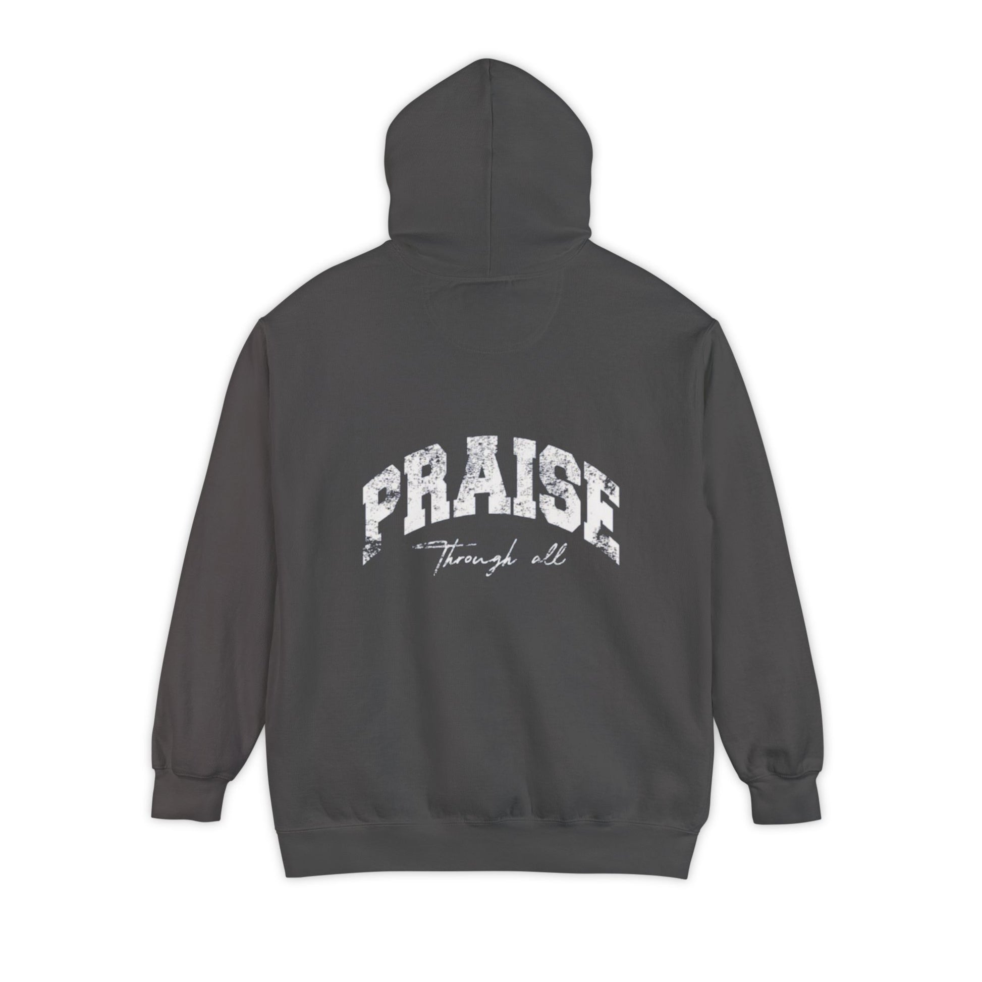 "Praise Through It All" hoodie