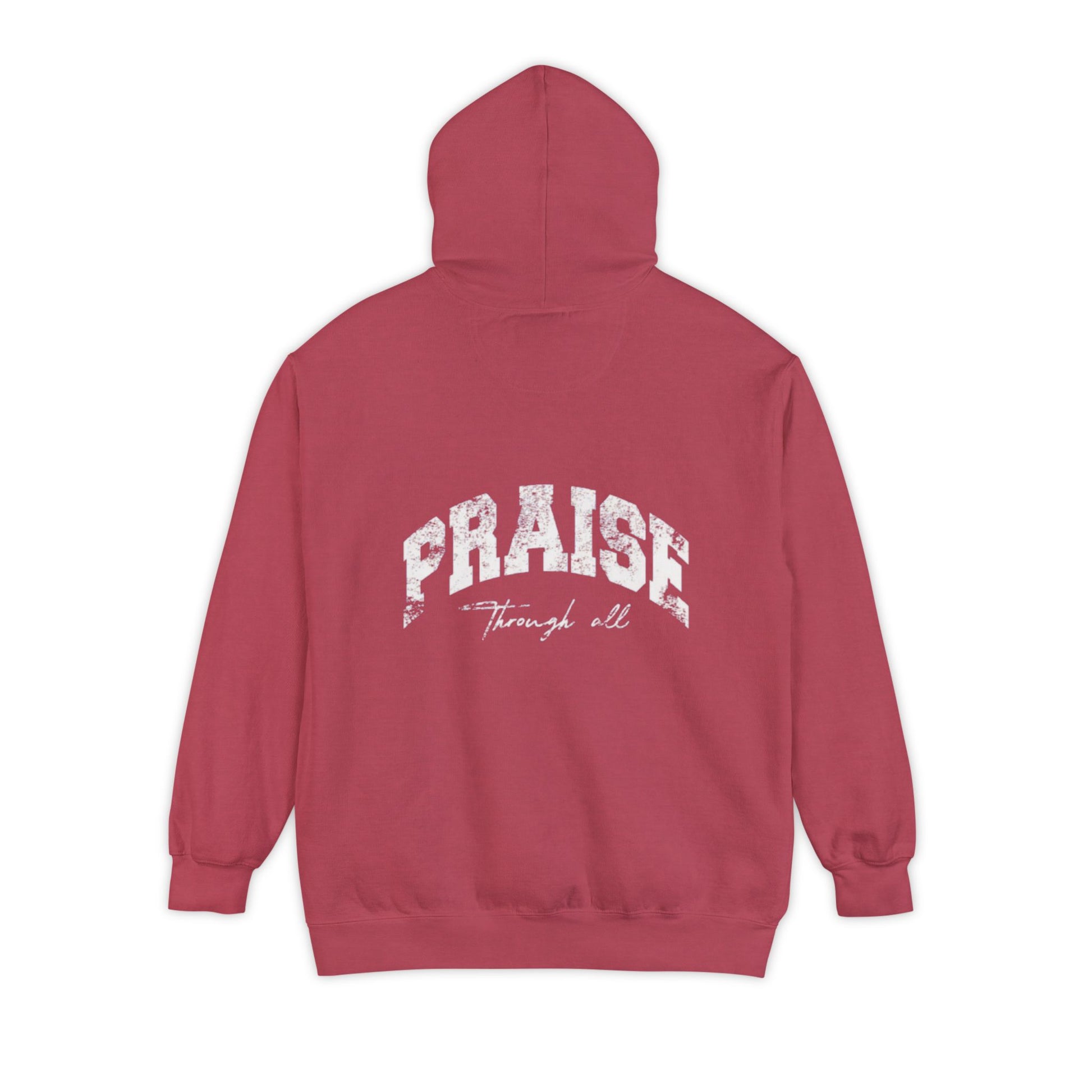 "Praise Through It All" hoodie