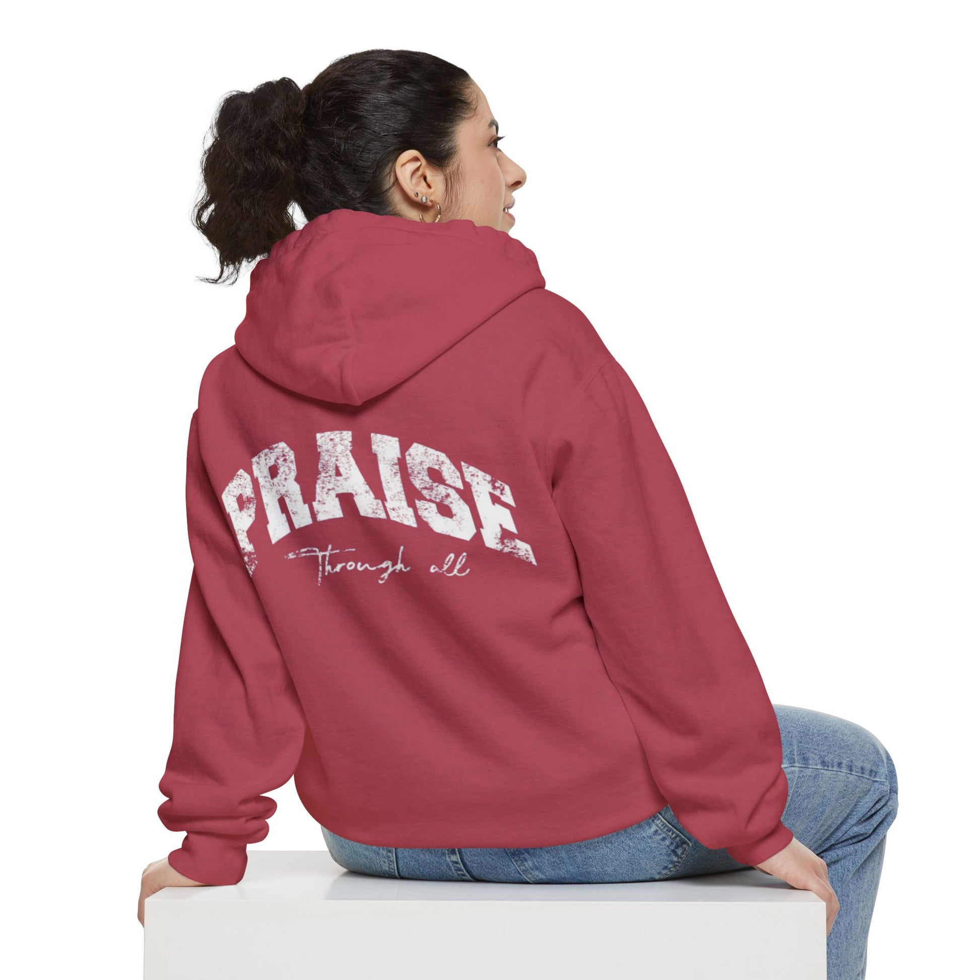 "Praise Through It All" hoodie